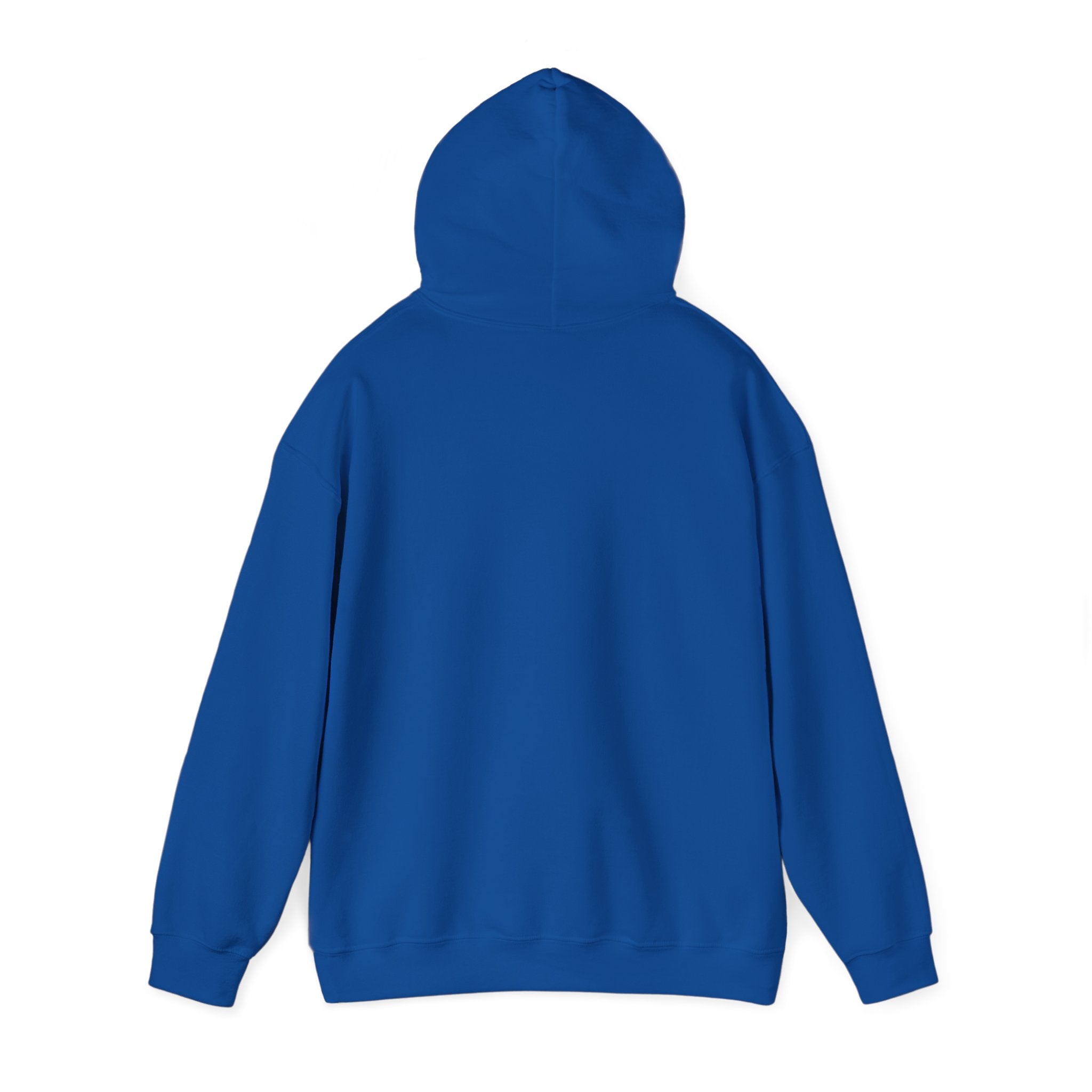 Cotton Polyester Heavy Blend Hooded Sweatshirt (Didnt come to play) (Front)