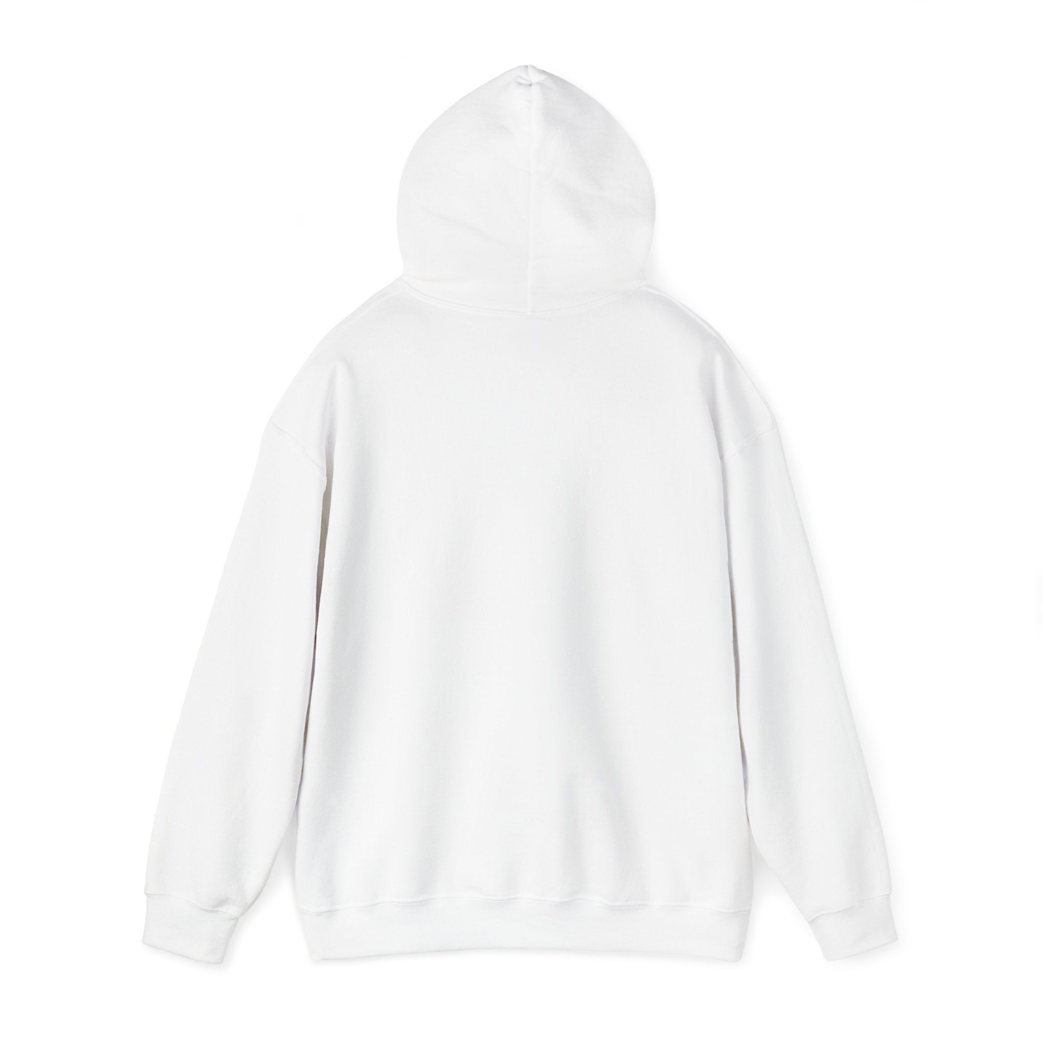 Cotton Polyester Heavy Blend Hooded Sweatshirt (Didnt come to play) (Front)