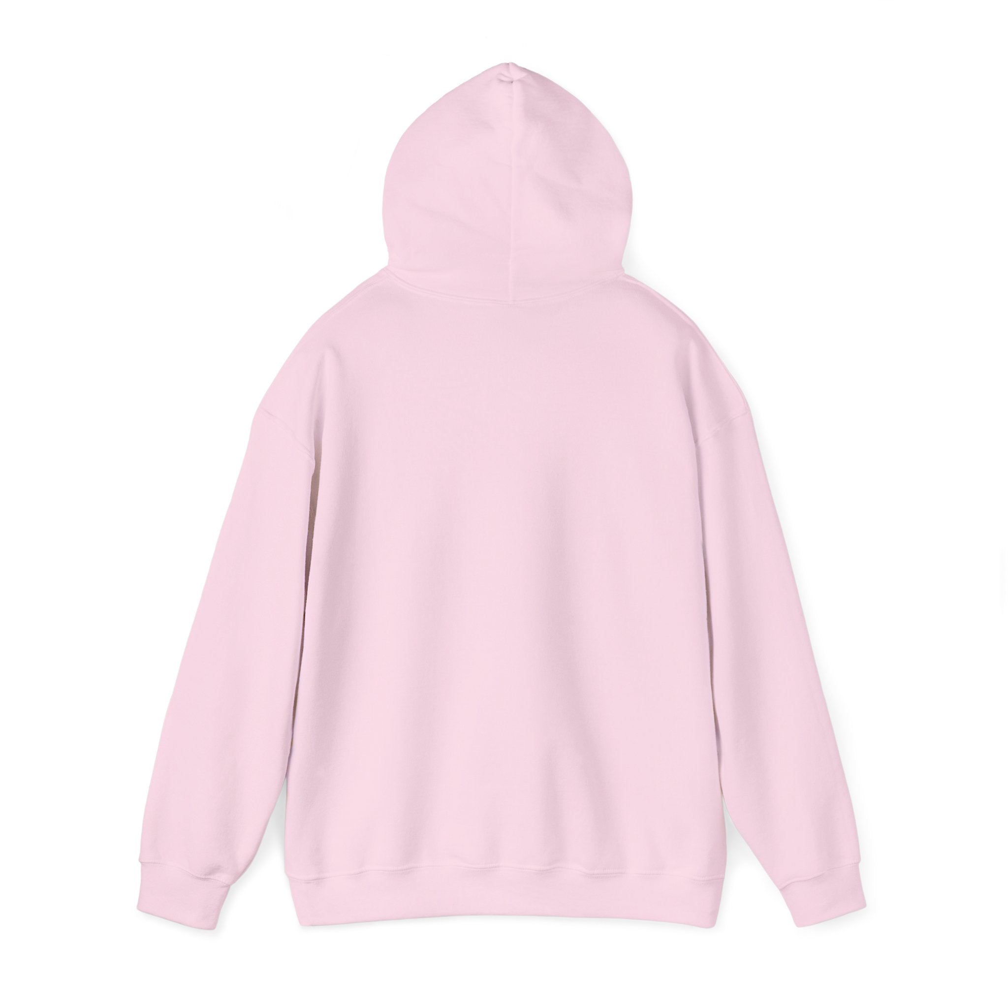 Cotton Polyester Heavy Blend Hooded Sweatshirt (Didnt come to play) (Front)