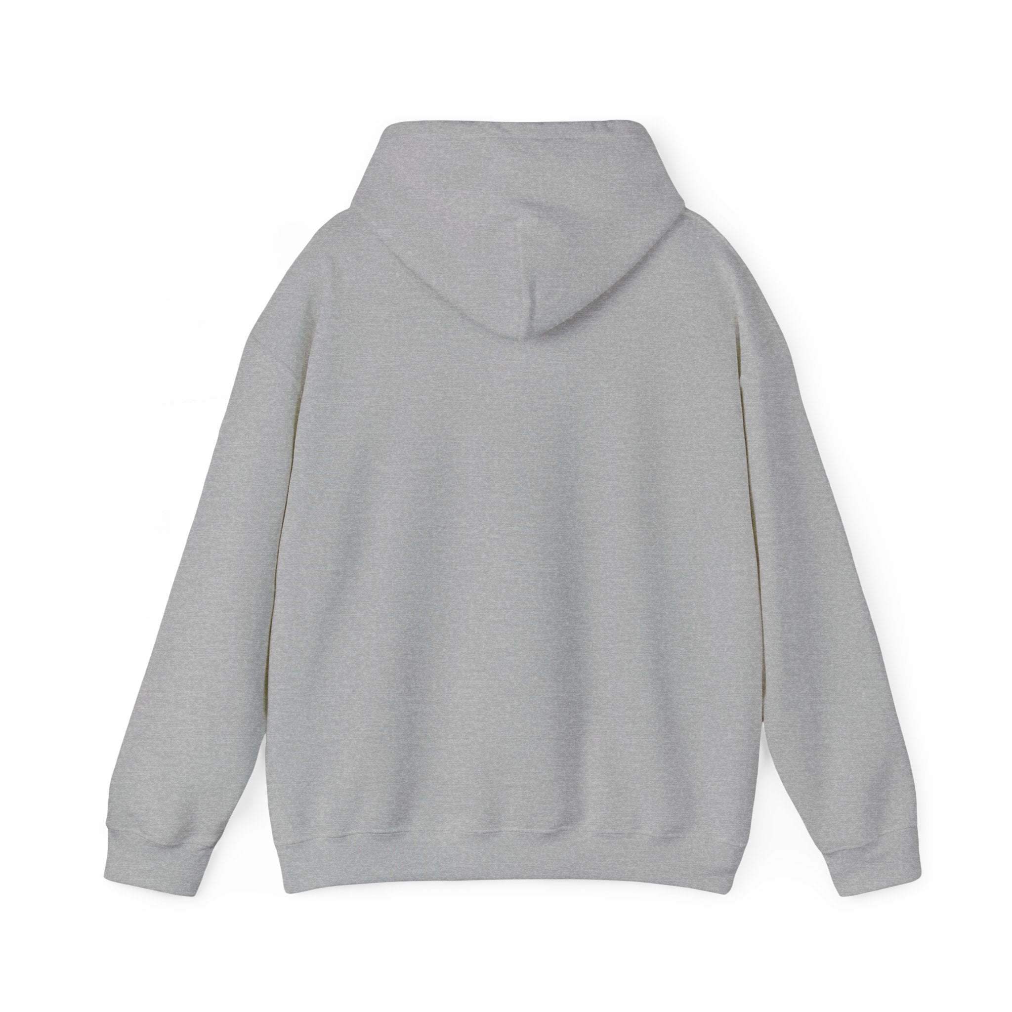 Cotton Polyester Heavy Blend Hooded Sweatshirt (Didnt come to play) (Front)