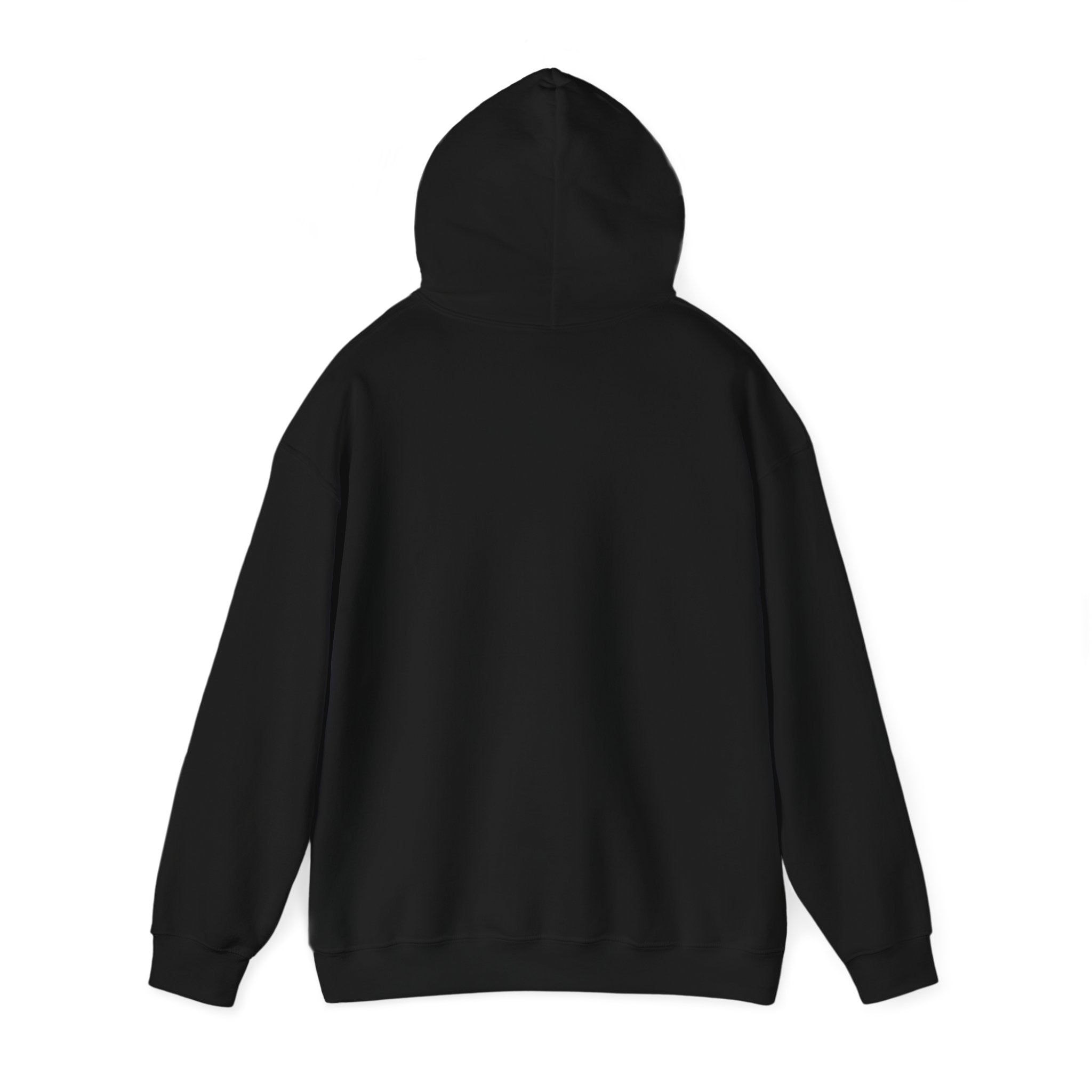 Mens Heavy Weight Cotton Polyester Blend Comfortable Hooded Sweatshirt (Board and Surf)