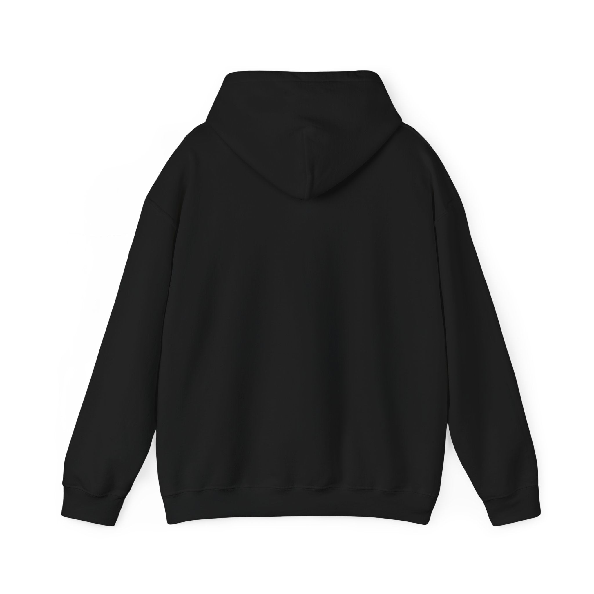 Cotton Polyester Heavy Blend Hooded Sweatshirt (Didnt come to play) (Front)