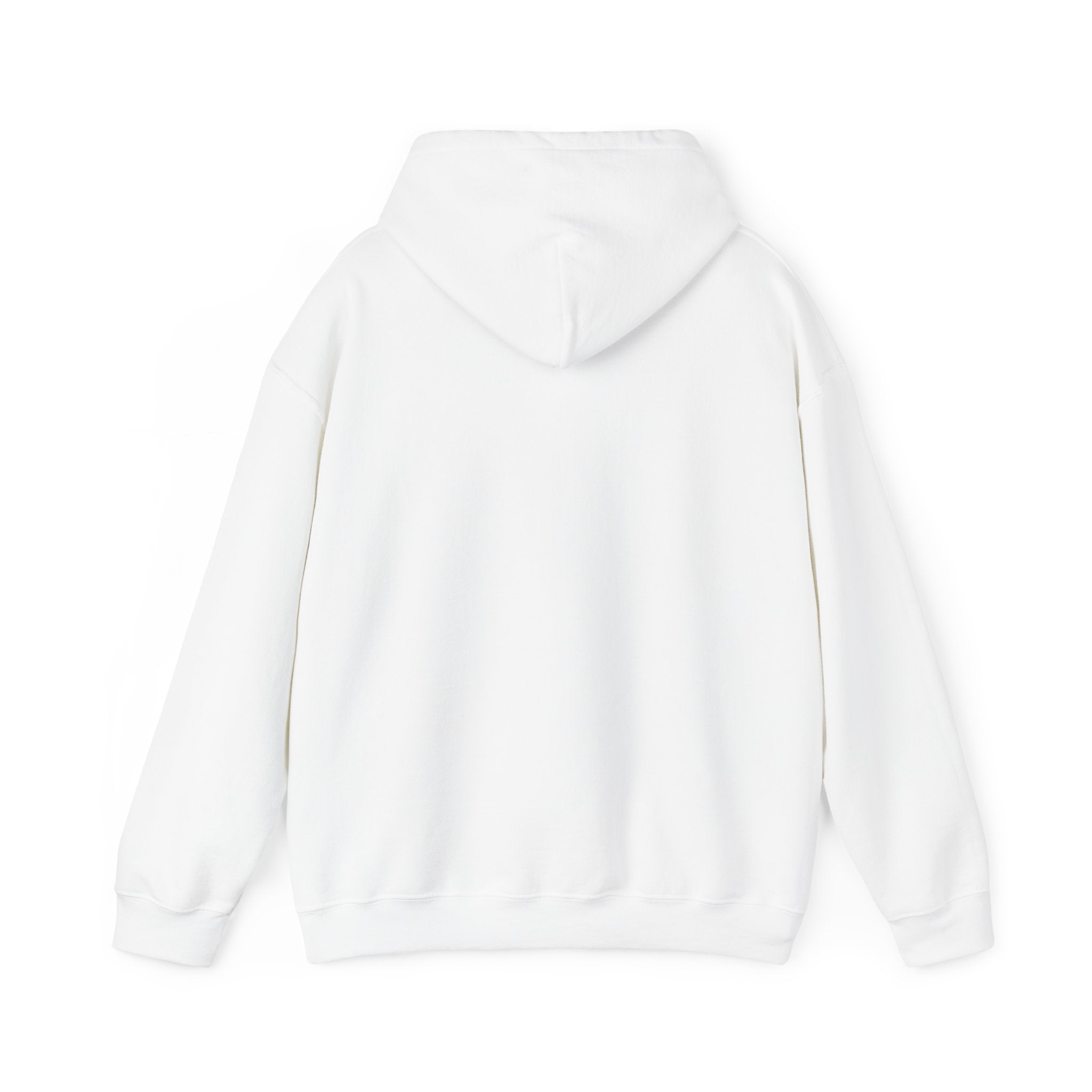 Cotton Polyester Heavy Blend Hooded Sweatshirt (Didnt come to play) (Front)