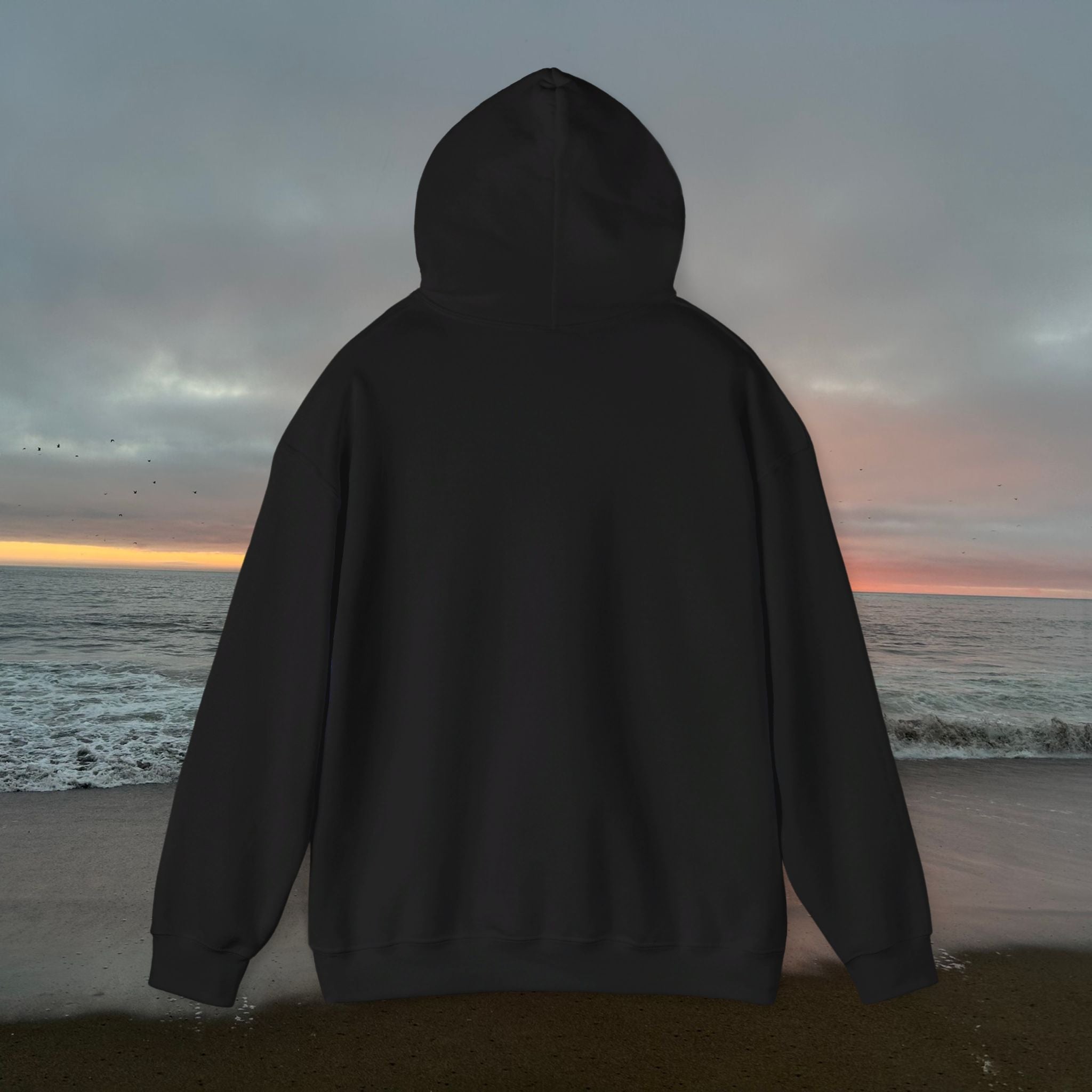 Peel Here Clothings Waves and Sun Hoodie