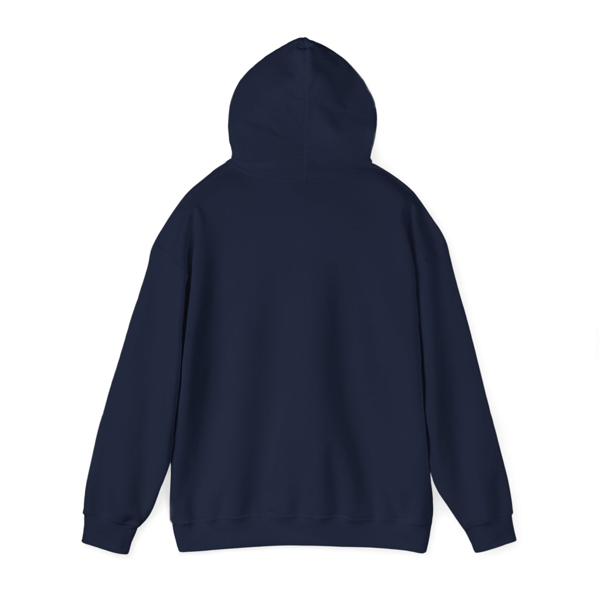 Cotton Polyester Heavy Blend Hooded Sweatshirt (Didnt come to play) (Front)