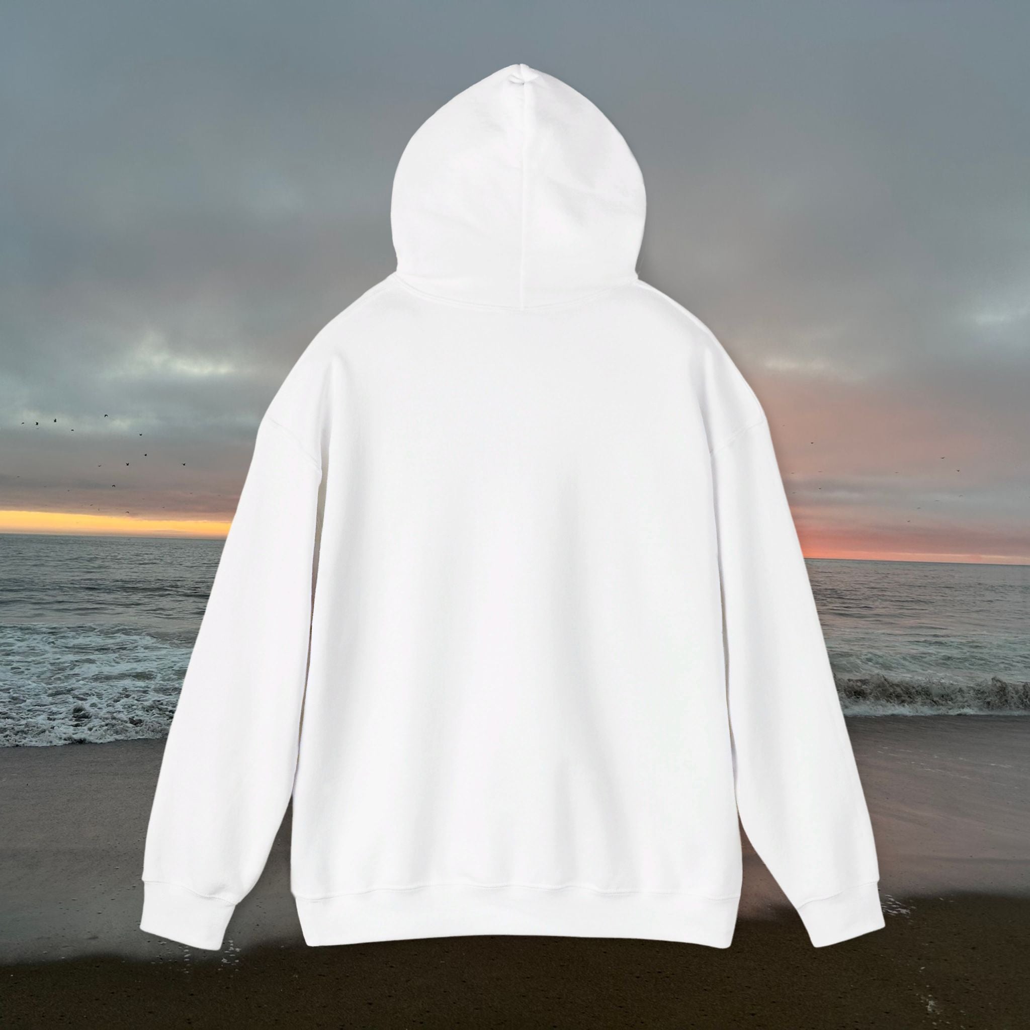 Peel Here Clothings Waves and Sun Hoodie