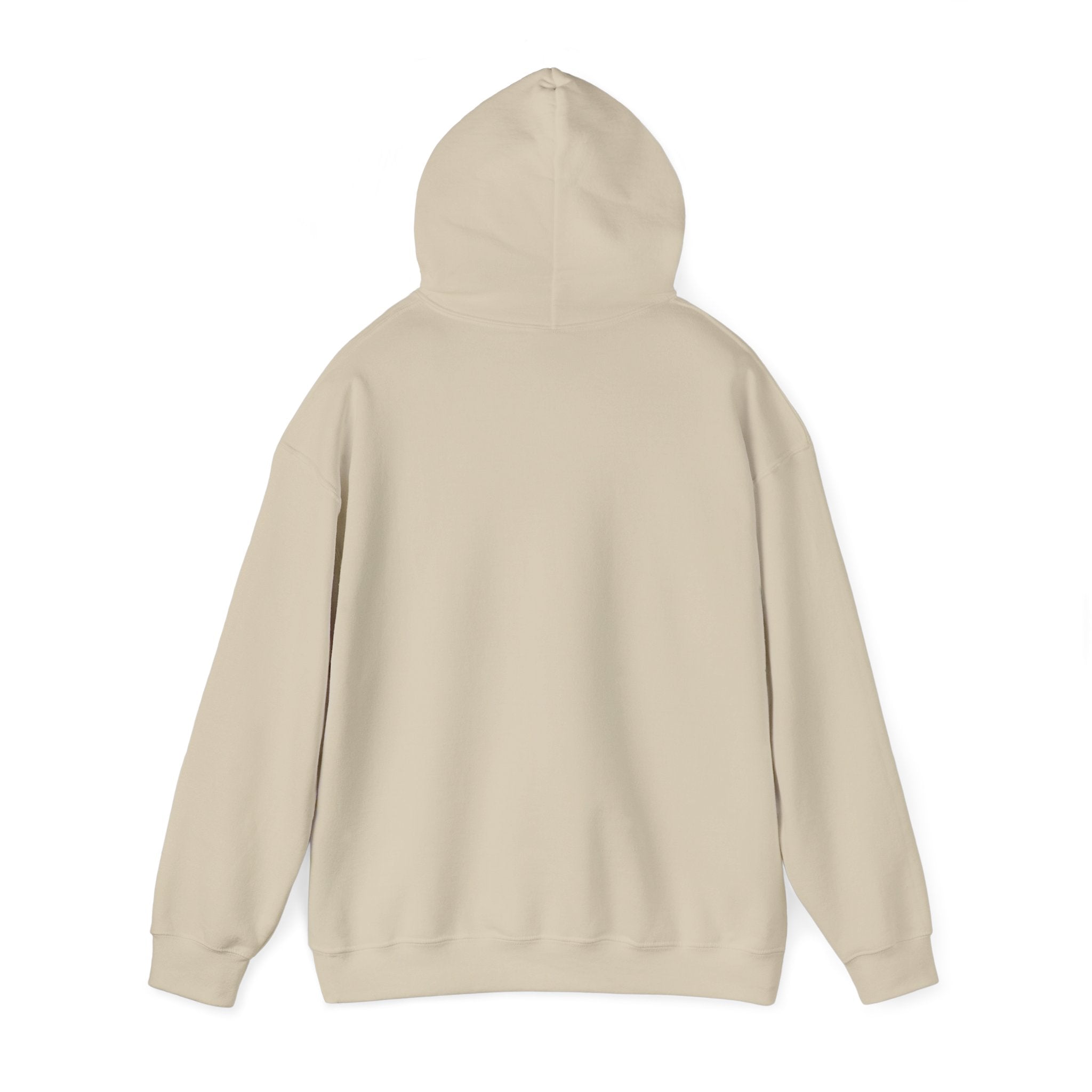 Cotton Polyester Heavy Blend Hooded Sweatshirt (Didnt come to play) (Front)