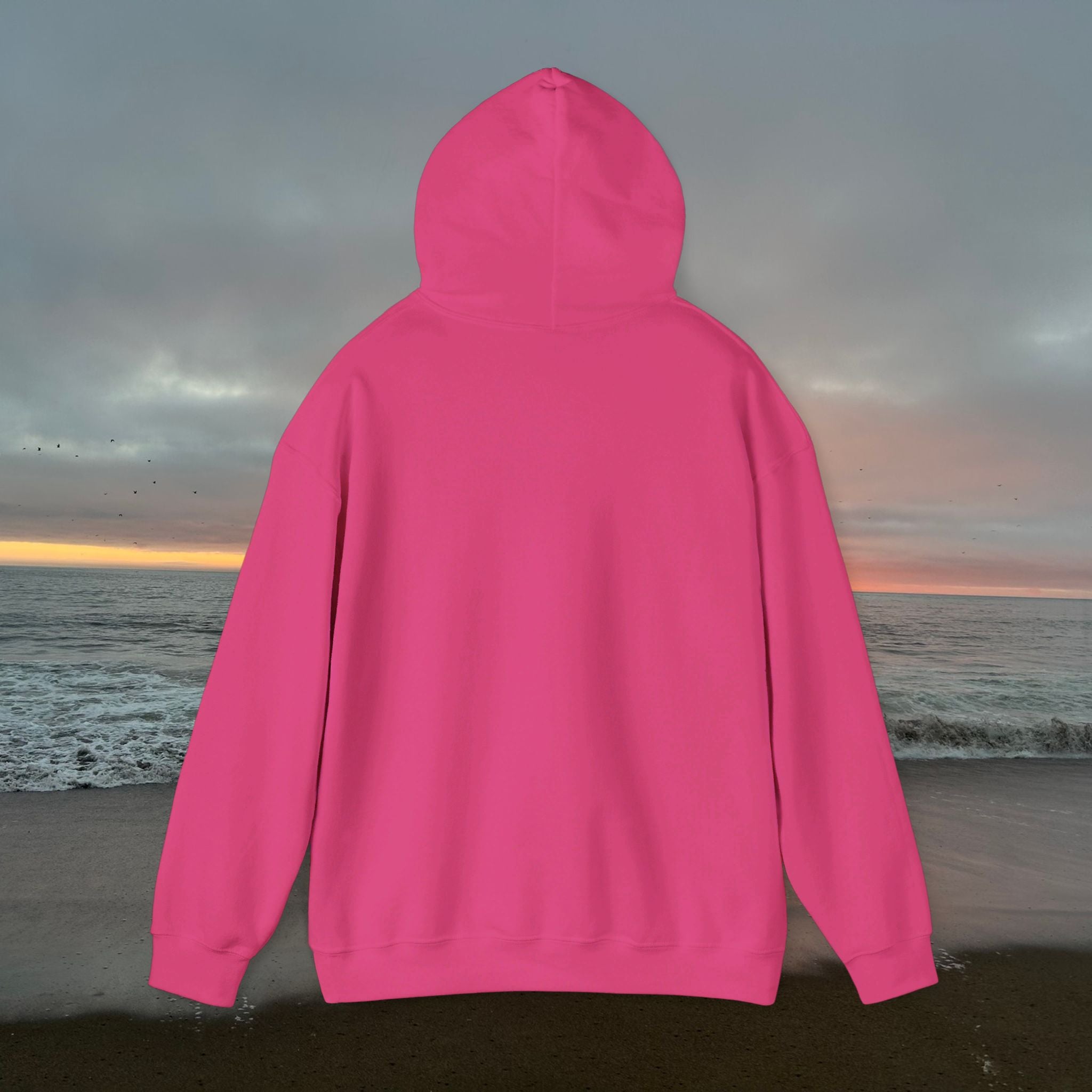 Peel Here Clothings Waves and Sun Hoodie