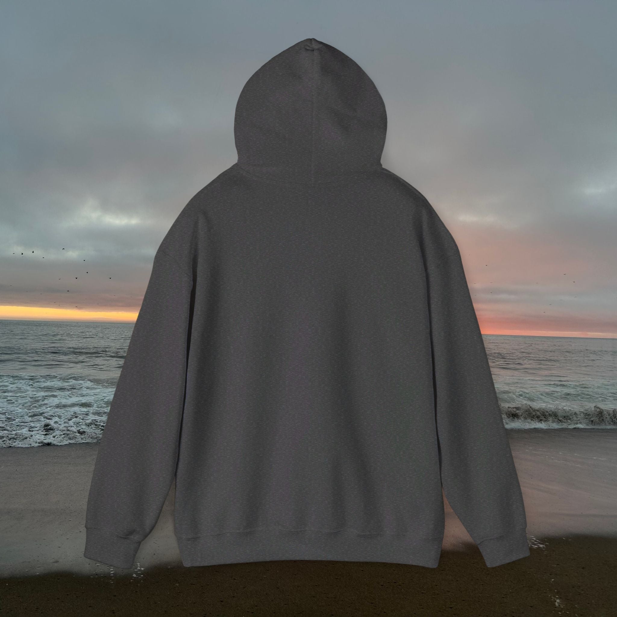 Peel Here Clothings Waves and Sun Hoodie