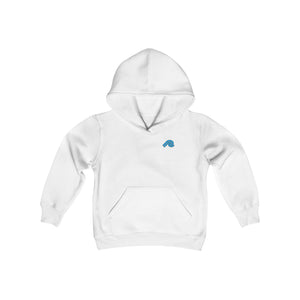 Peel Here Clothings Chase your Dreams Boys Hoodie