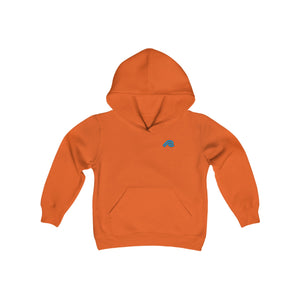 Peel Here Clothings Chase your Dreams Boys Hoodie